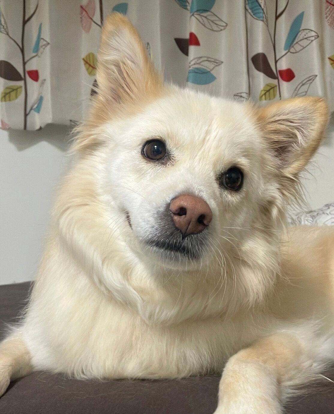 穏やかな表情のゆづちゃん。