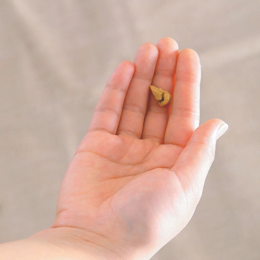 撮影／尾﨑たまき