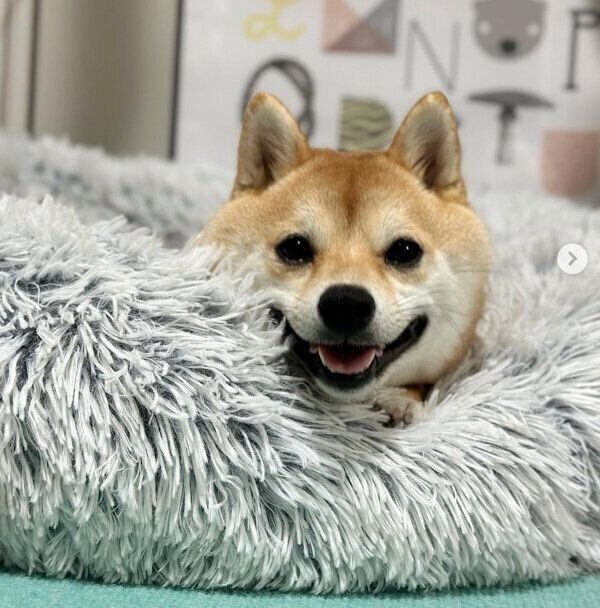 笑顔が可愛いモモちゃん