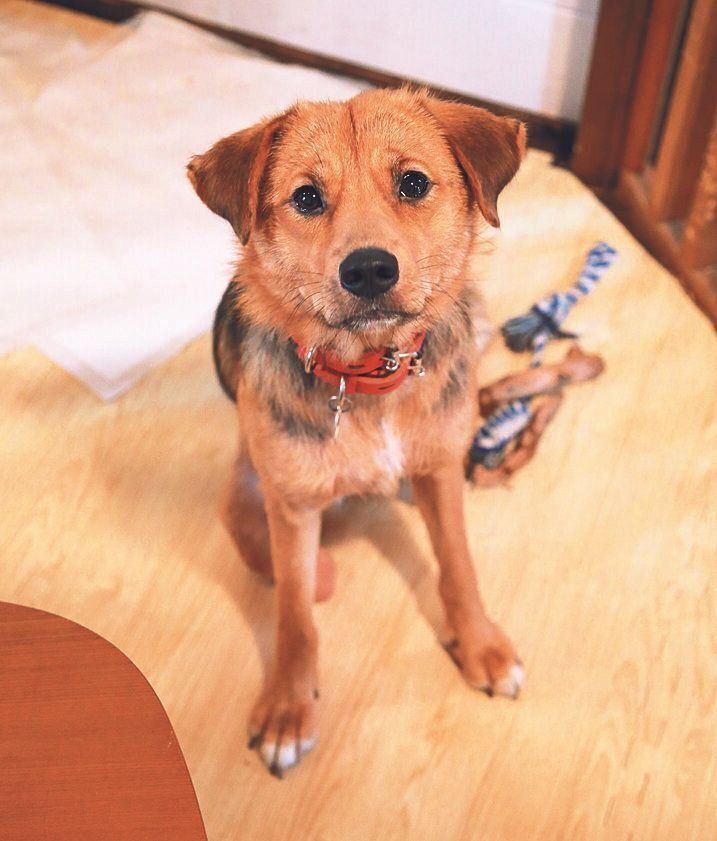 撮影／尾﨑たまき