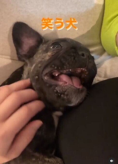 笑いが止まらないwww