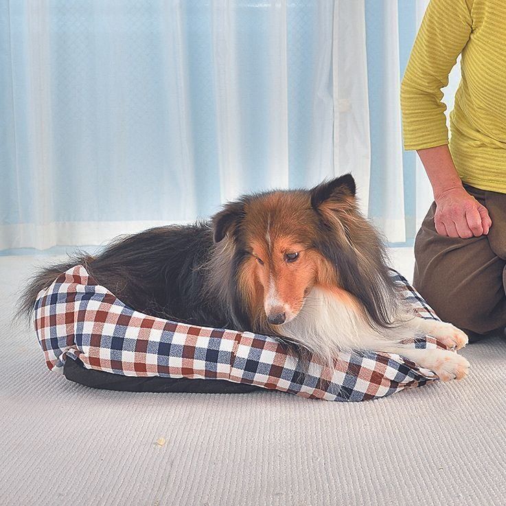 撮影／佐藤正之