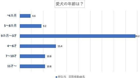 愛犬の年齢は?