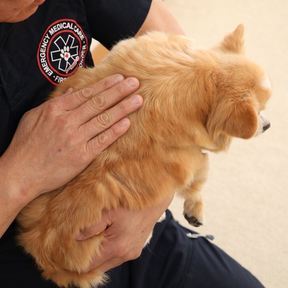 撮影／尾﨑たまき