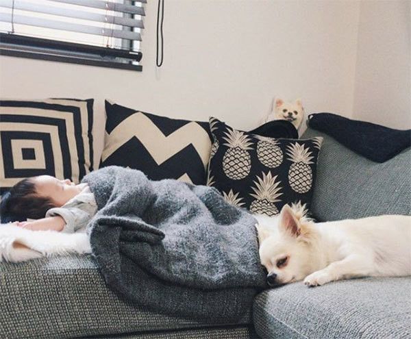 赤ちゃんとチワワ