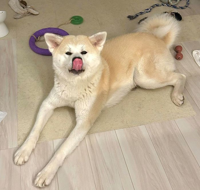 舌をぺろっとする幸ちゃん