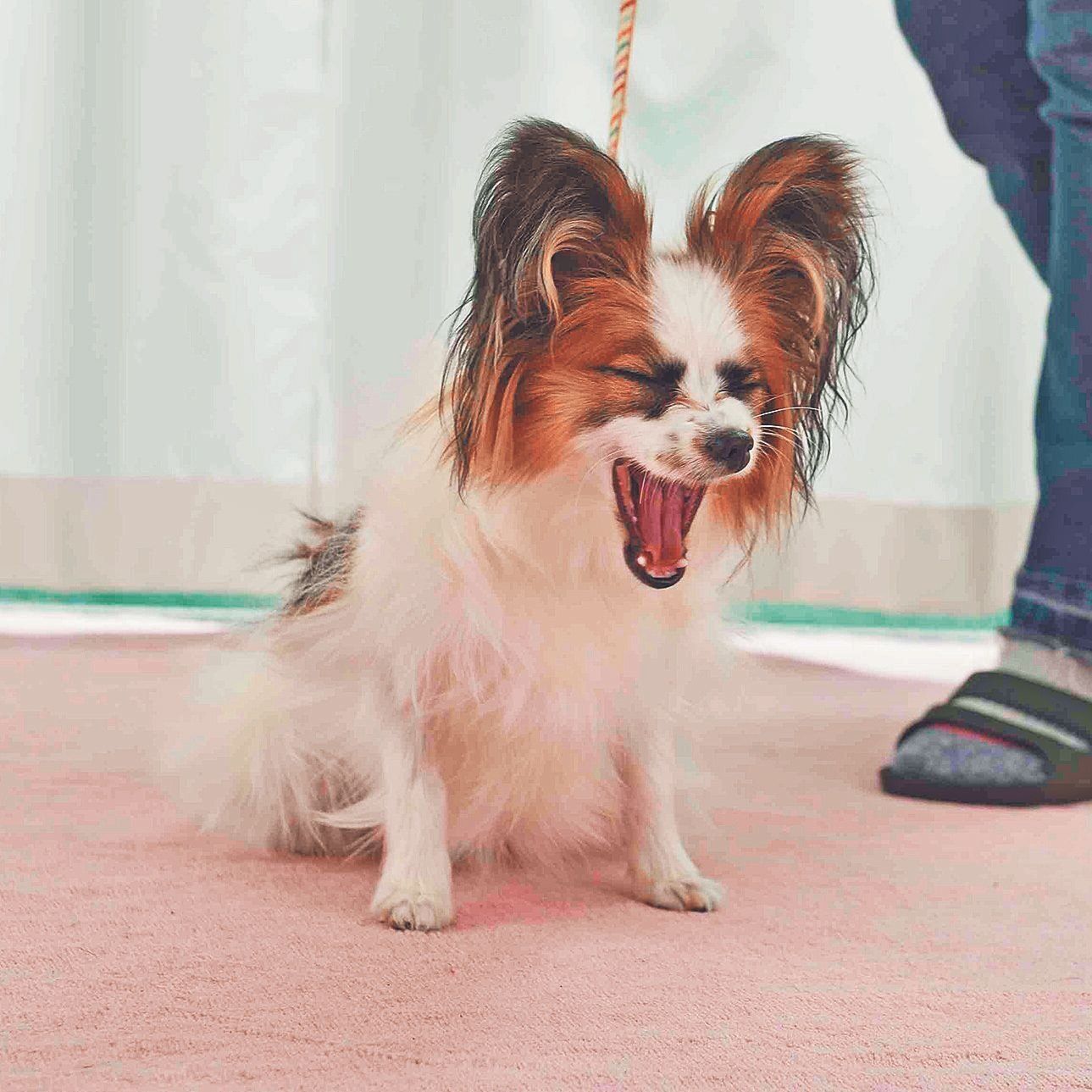 撮影／佐藤正之