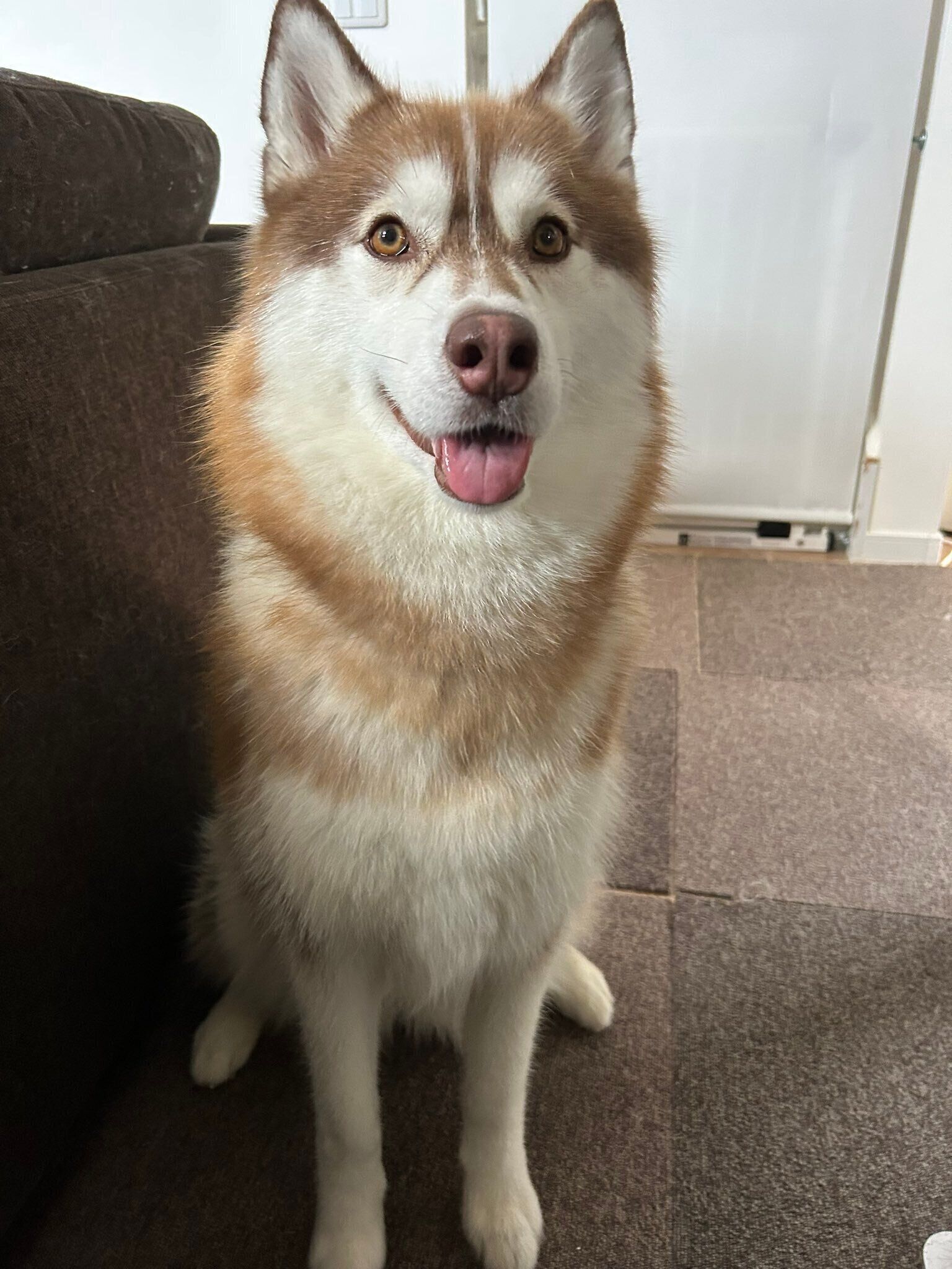 現在のレムちゃん