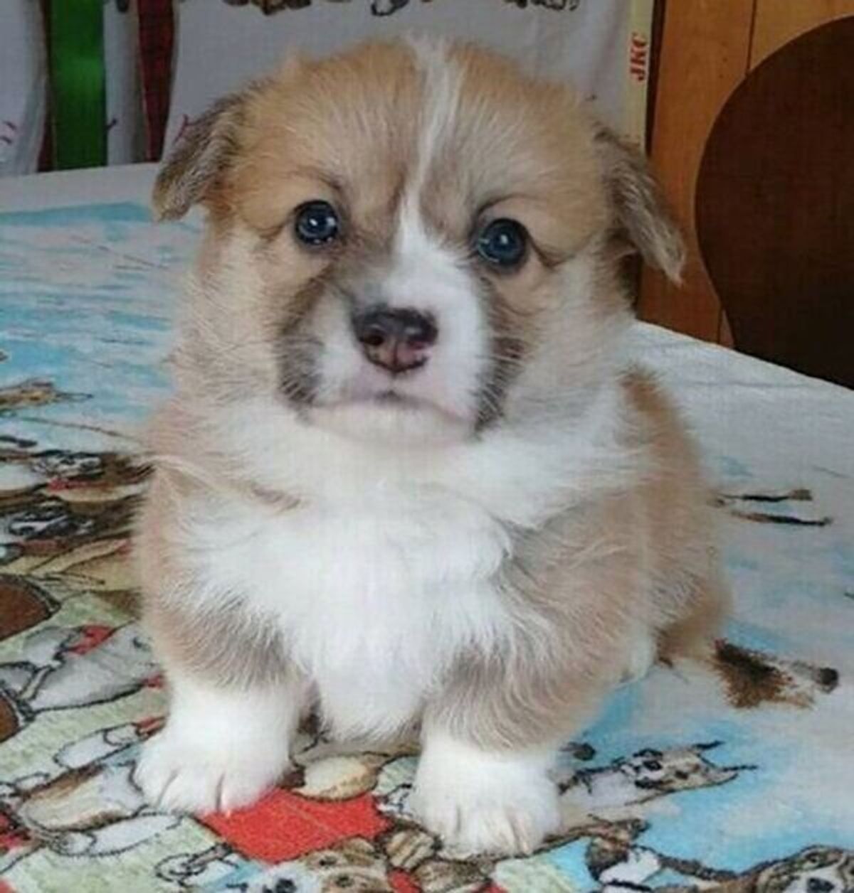 Lpaq8pdhfcxrym Lpaq8pdhfcxrym