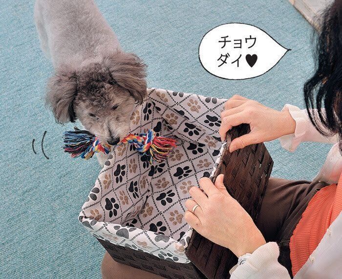 おもちゃを箱の中に入れさせる