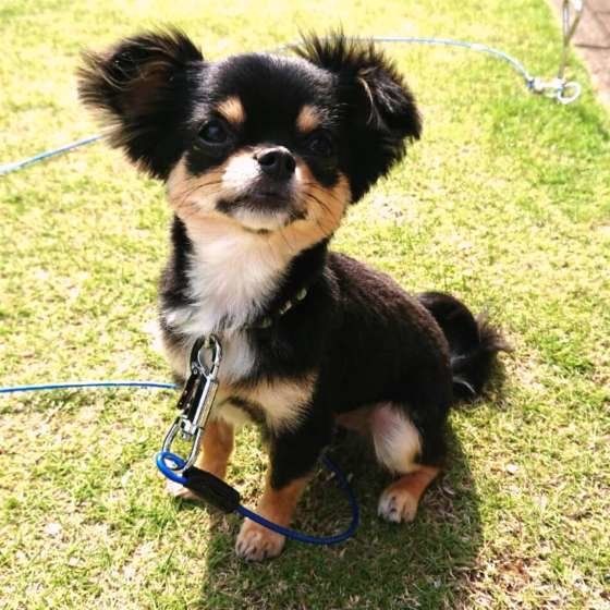ムシムシする梅雨、暑い夏、熱中症に気を付けよう!