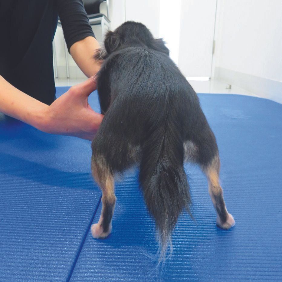 腰の位置が下がっている