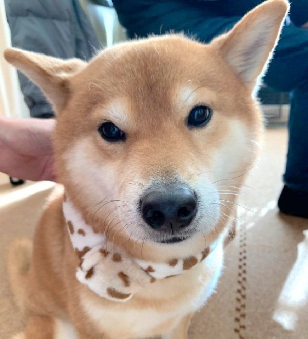 見つめる弟くん