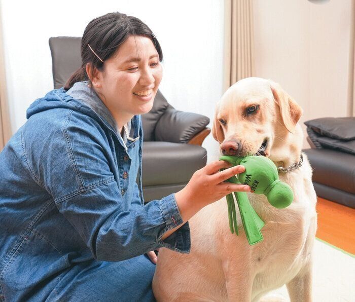 おもちゃで遊ぶ犬