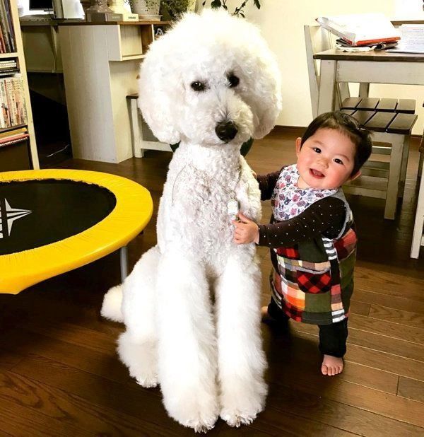 寄り添うりっくん・まめちゃん