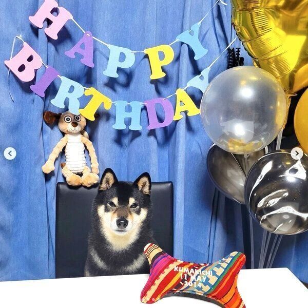 誕生日をお祝いしてもらうくま吉くん