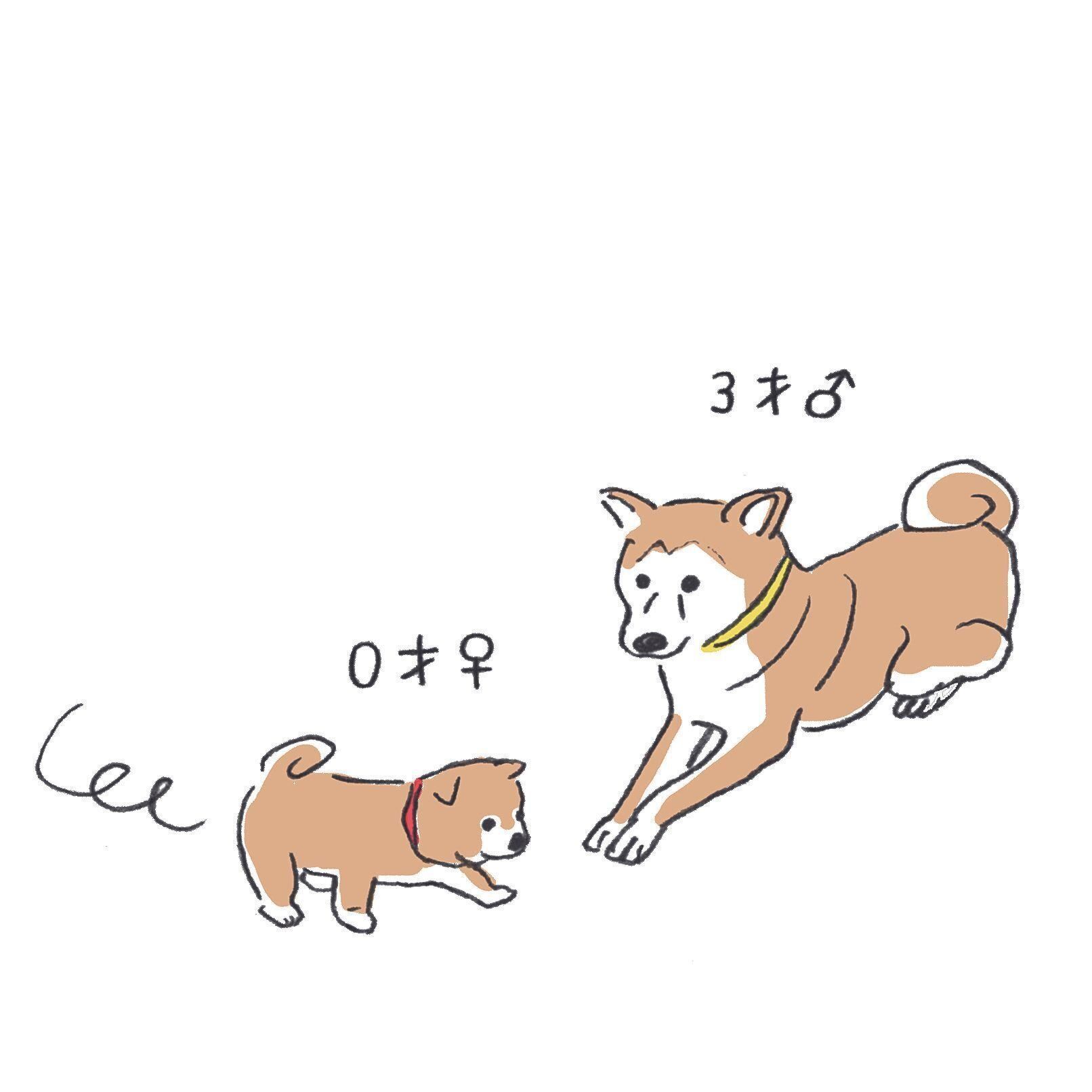 イラスト／松元まり子