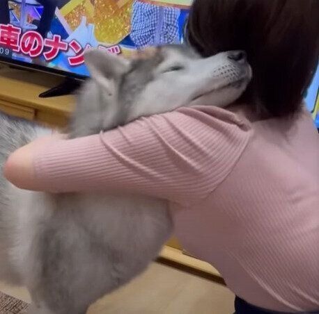 甘えん坊の文太くん
