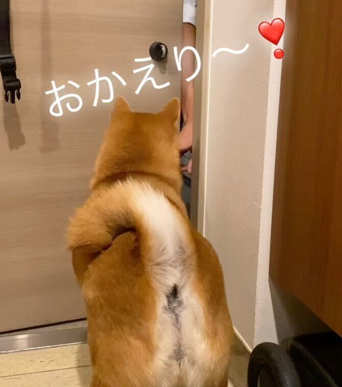 お父さんを出迎える梅助くん