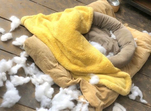 荒れ散らかるそらくんの犬小屋