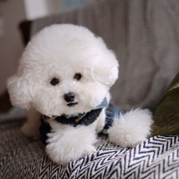 3m6unfjhpamusm 3m6unfjhpamusm