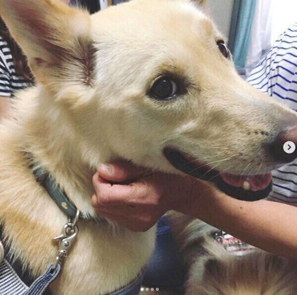 笑顔のくるりちゃん