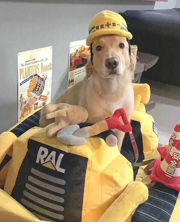 見つめるゆずちゃん