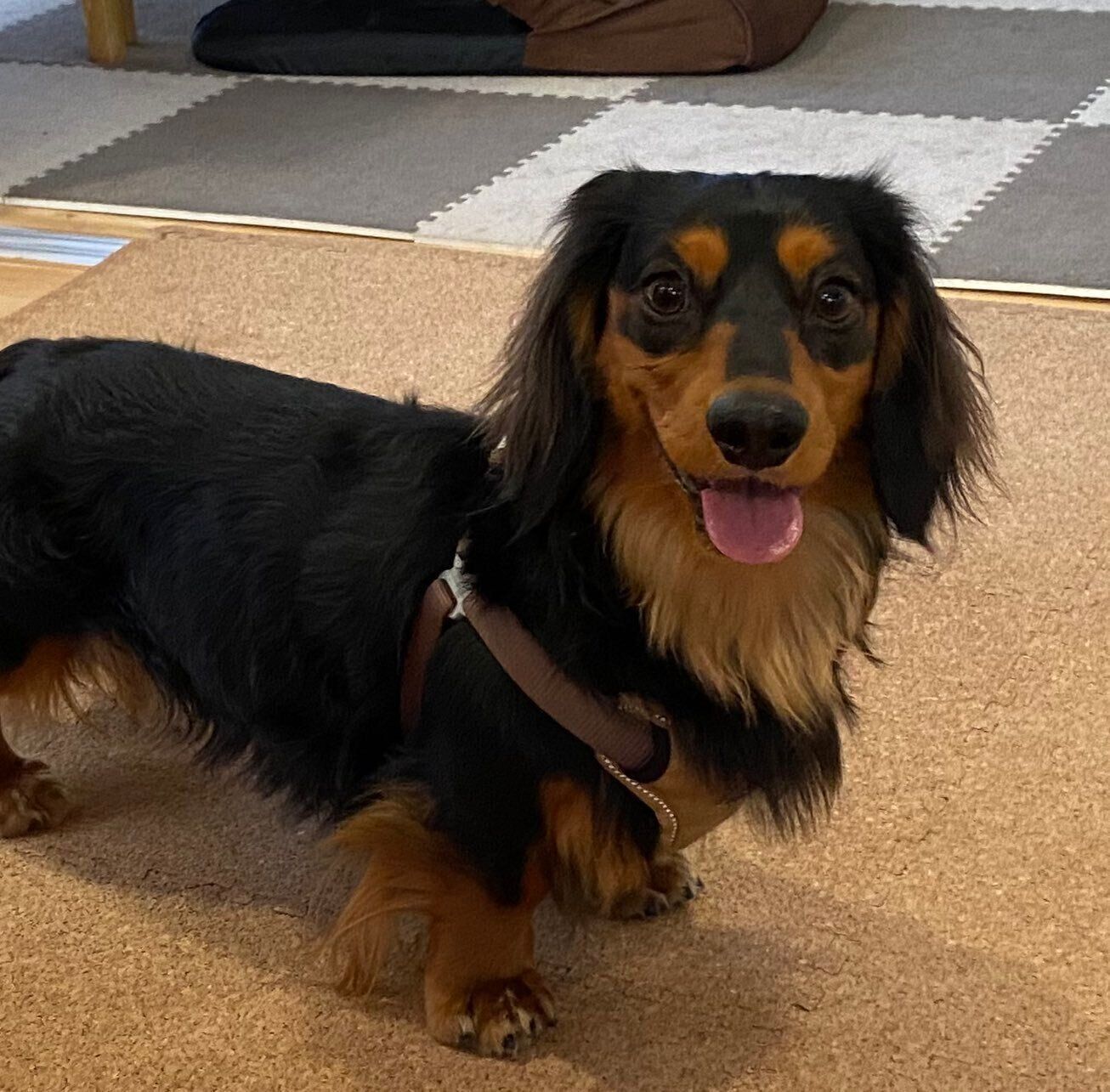 喜びの表情を浮かべるみらいくん