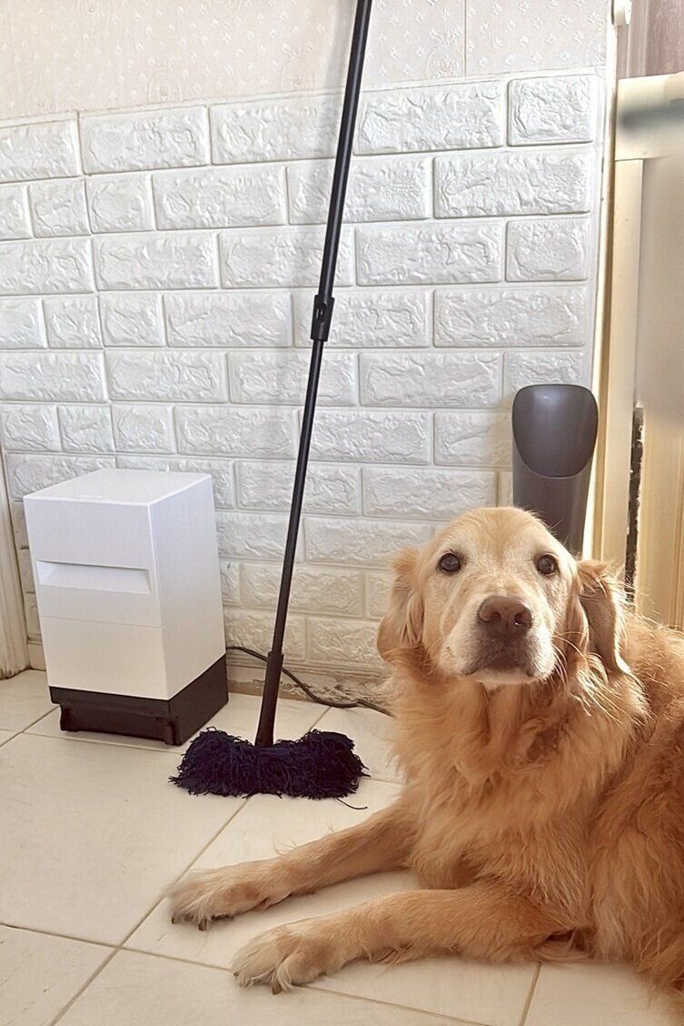 試したのは、編集スタッフ・Kと愛犬ココ（メス・11才／ゴールデン・レトリーバー）