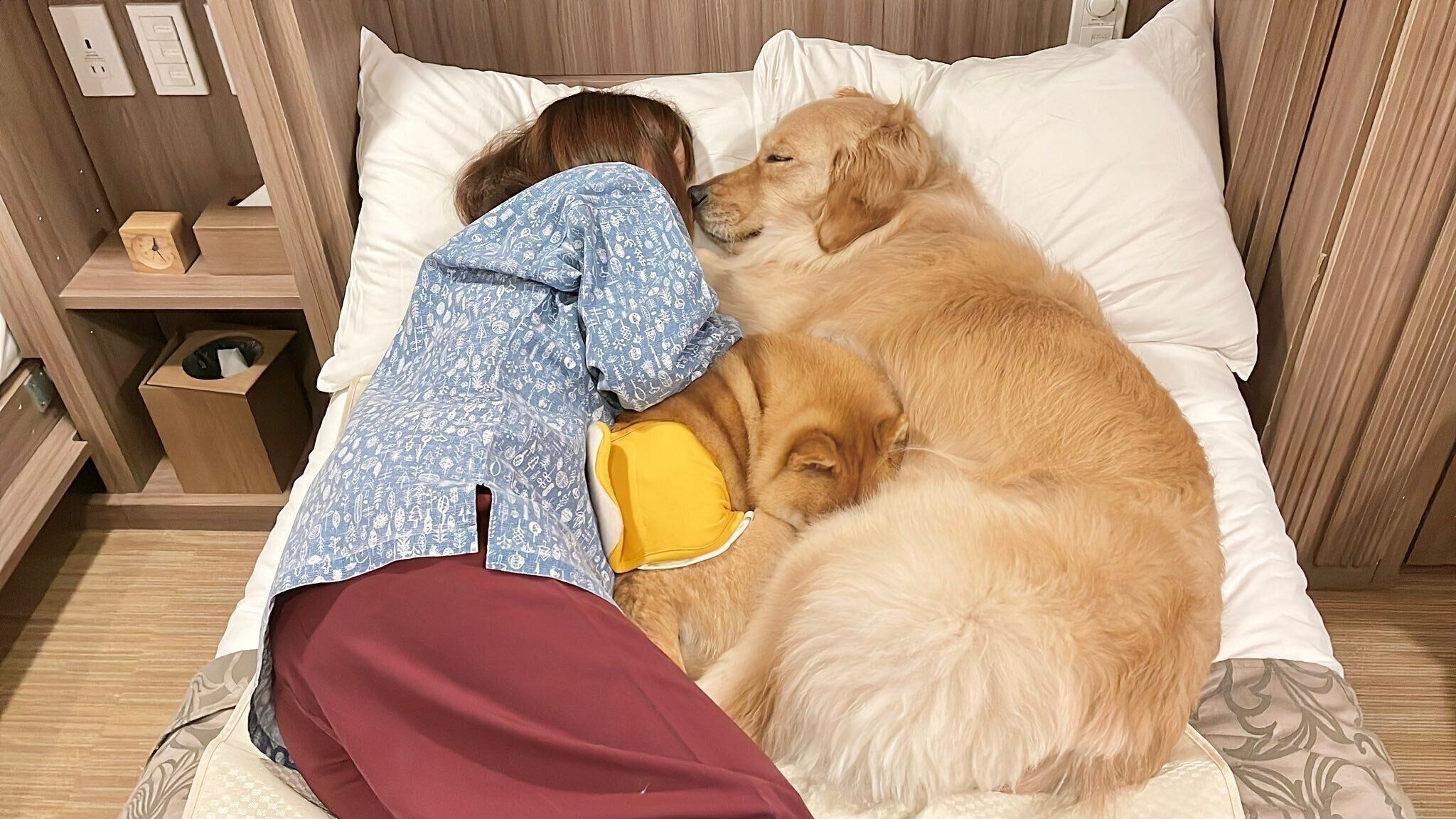 ママさんにくっついて眠るうにくん、おからちゃん