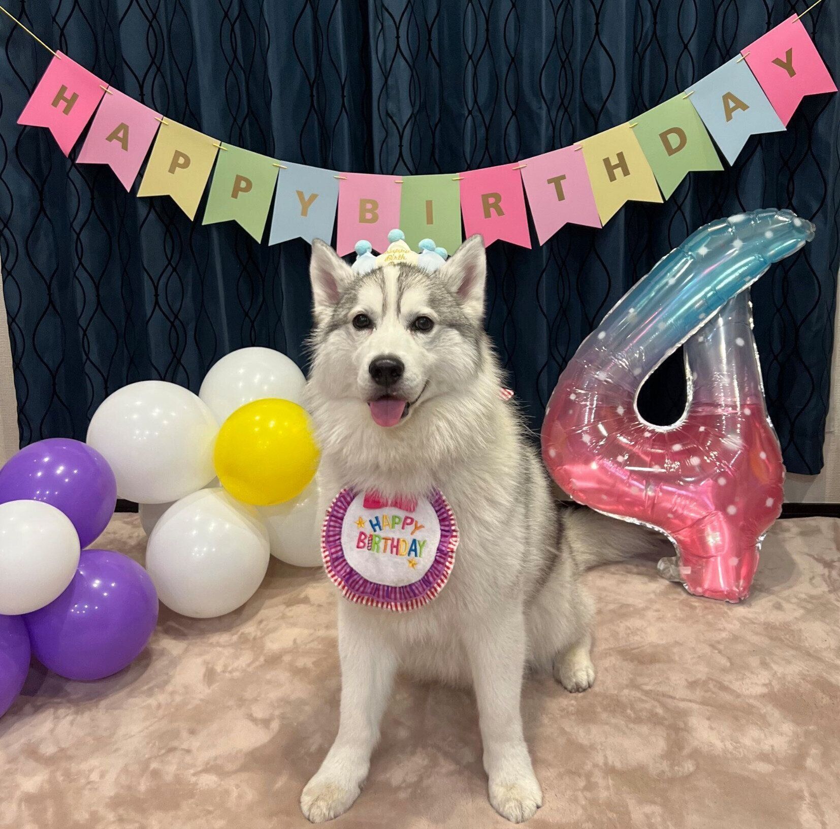 4才になった琥珀くん