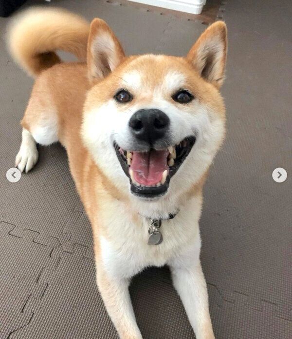 笑顔の咲ク太郎くん