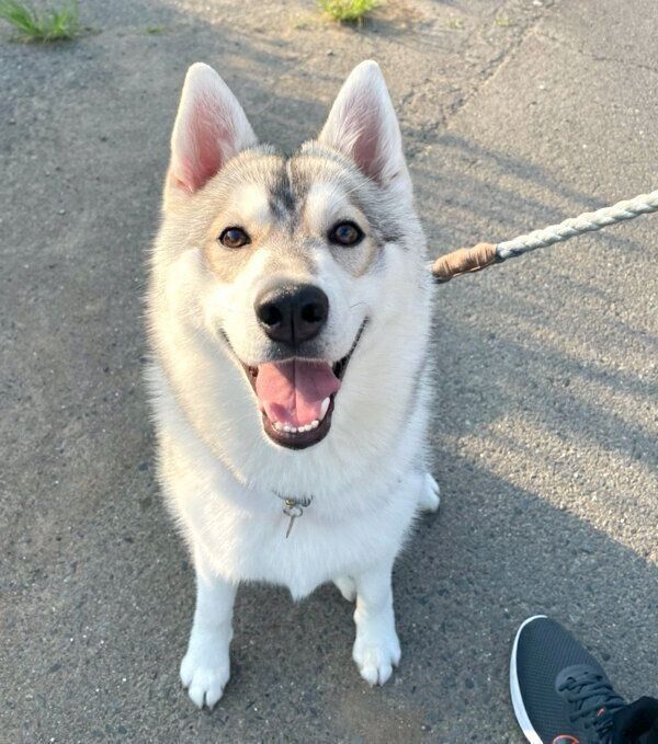 笑顔が可愛いいちみちゃん