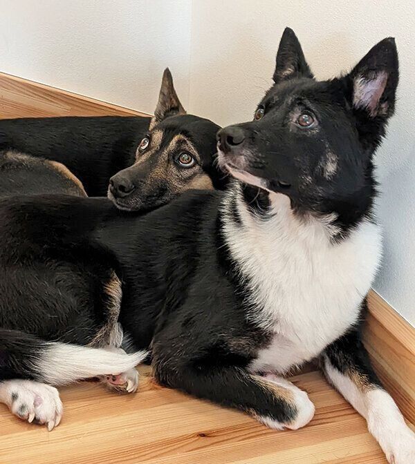 とても仲良しなあんずちゃんとのんちゃん