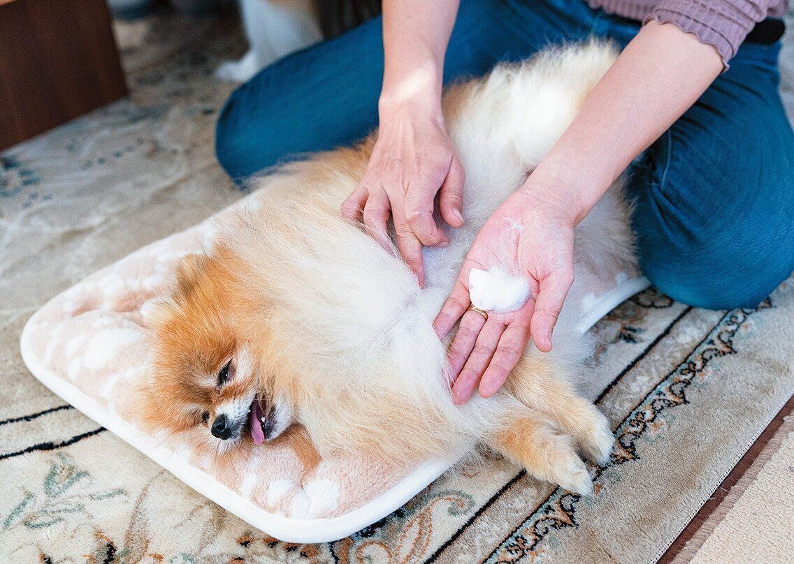 毎日、地肌に浸透しやすいムース状のクリームをつけてマッサージ