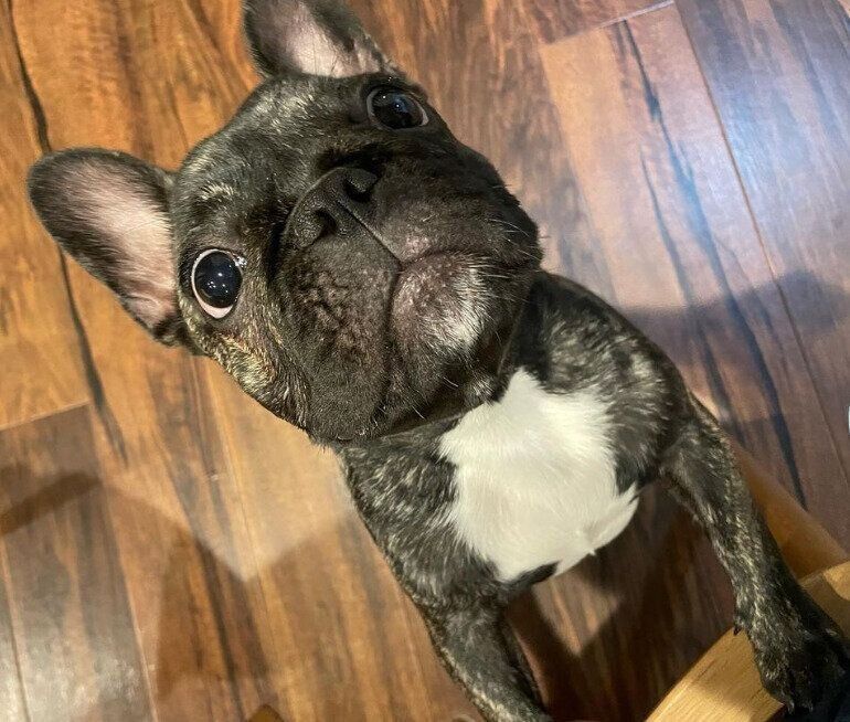 いろんなものに興味津々