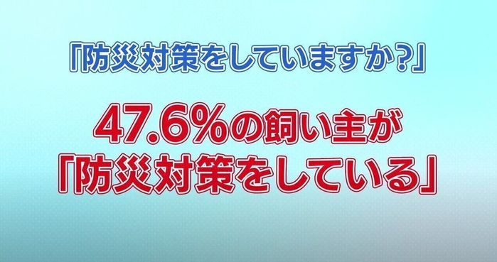 犬の防災対策