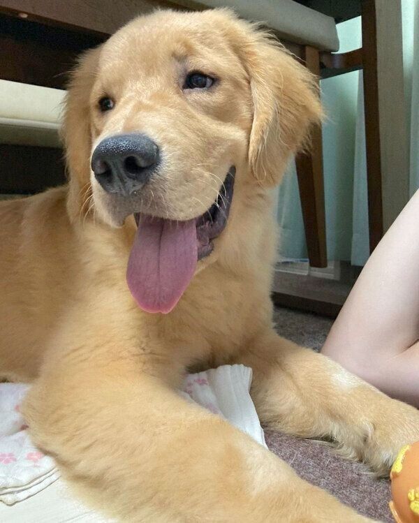 笑顔が可愛いむぎくん