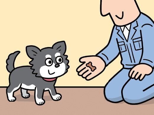 作業員からおやつをもらう犬