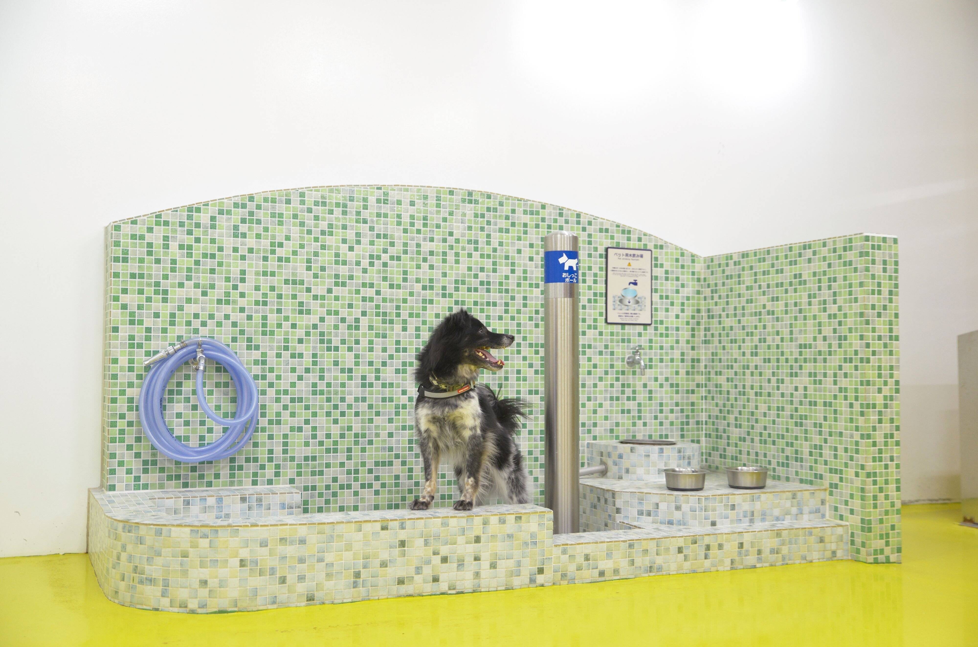 トイレコーナーもあって安心