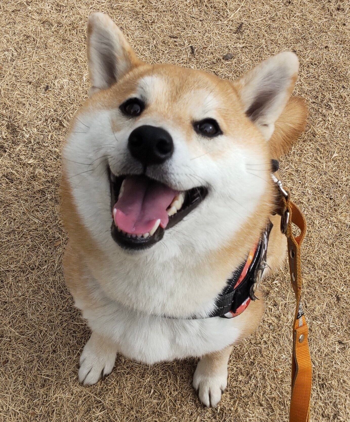 3才でもニコニコ笑顔は健在。