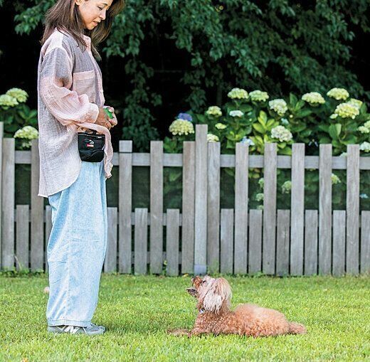 飼い主さんと愛犬