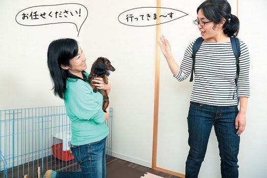 ペットシッターに預ける