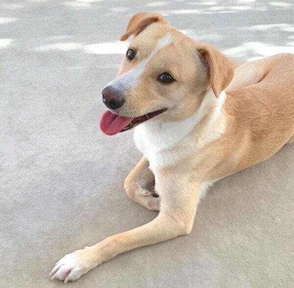 笑顔が可愛い杢くん