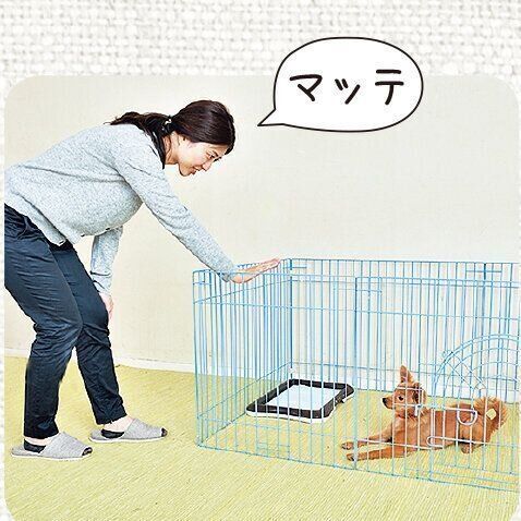 撮影／佐藤正之