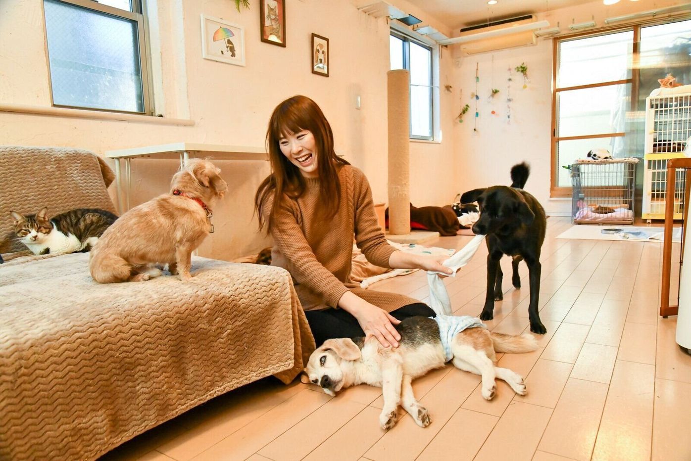 動物たちに恩返しをしたい 過去引きこもりだった女性が 飼い主のいない犬や猫のために奮闘 いぬのきもちweb Magazine 動物たちに恩返しをしたい 過去引きこもりだった女性が 飼い主のいない犬や猫のために奮闘 いぬのきもちweb Magazine