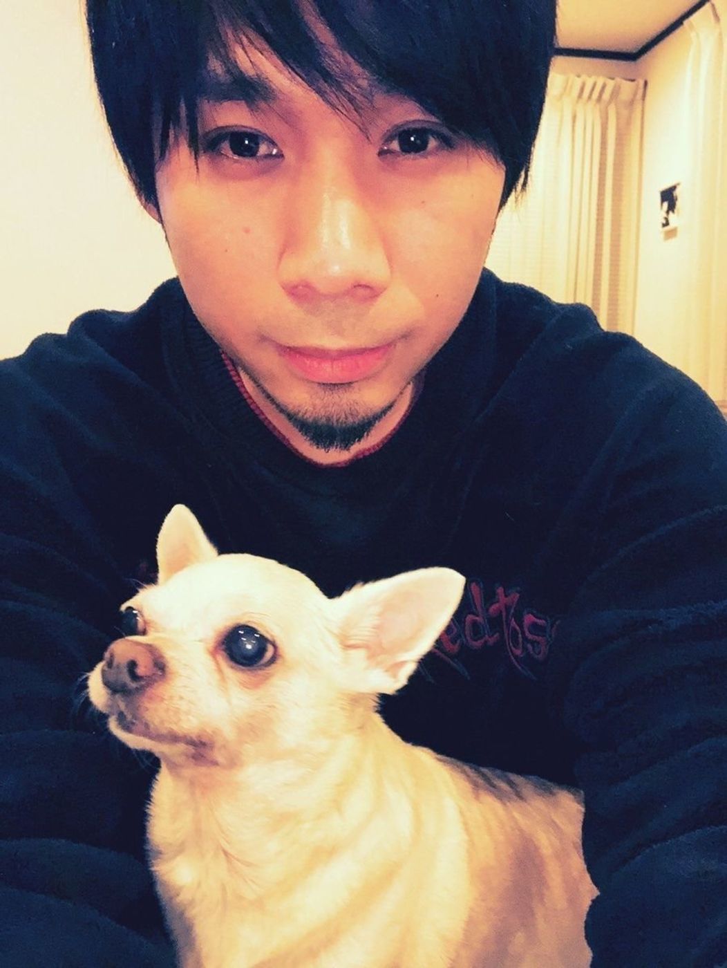 チャーリーがため息をついた日 吉田山田の期間限定連載 チャーリーとぼく いぬのきもちweb Magazine チャーリーがため息をついた日 吉田山田の期間限定連載 チャーリーとぼく いぬのきもちweb Magazine