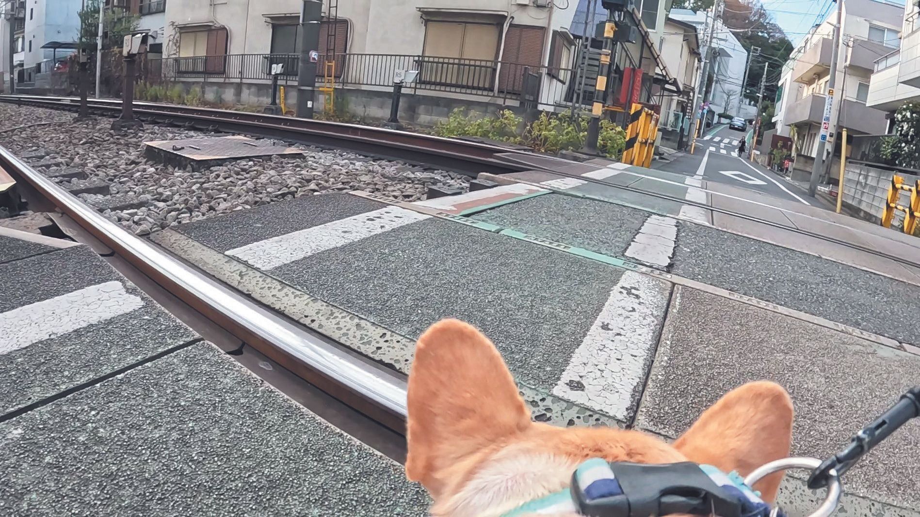 足を踏み外しそう！