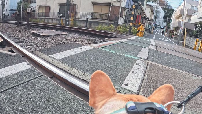 足を踏み外しそう!