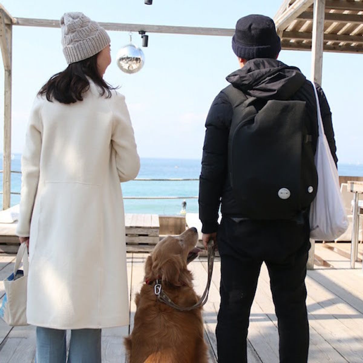 やっと出会えた 里子と里親から本当の家族に 保護犬を迎えるということ いぬのきもちweb Magazine やっと出会えた 里子と里親から本当の家族に 保護犬を迎えるということ いぬのきもちweb Magazine
